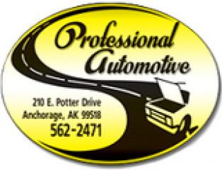 Professional Automotive (1445897)